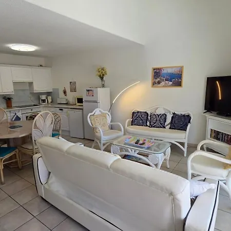 5 Pieces Climatise Avec Terrasse Et Parking A Appartement