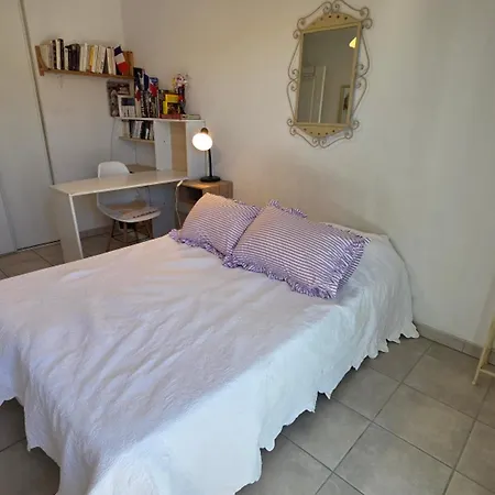 Appartement 5 Pieces Climatise Avec Terrasse Et Parking A